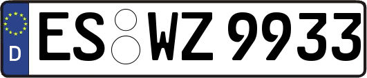 ES-WZ9933