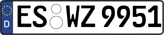 ES-WZ9951