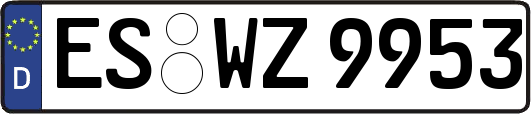 ES-WZ9953