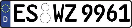 ES-WZ9961