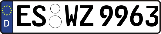 ES-WZ9963