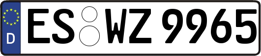 ES-WZ9965