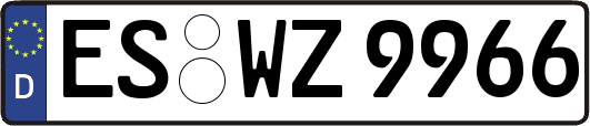 ES-WZ9966