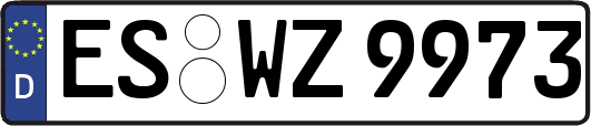 ES-WZ9973