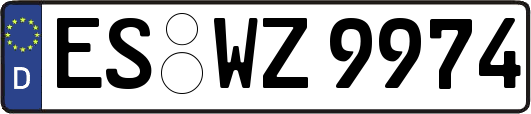 ES-WZ9974