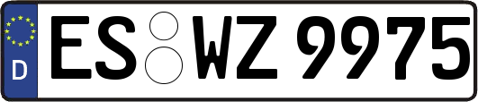 ES-WZ9975