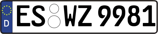 ES-WZ9981