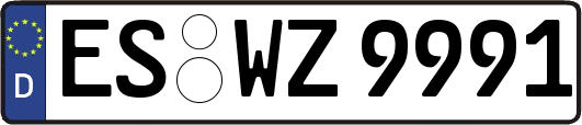 ES-WZ9991