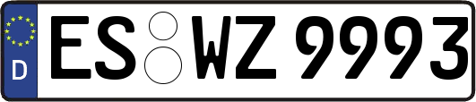 ES-WZ9993