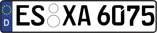 ES-XA6075