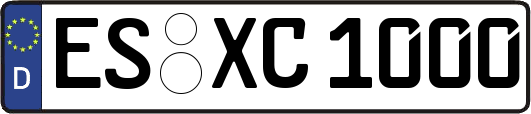 ES-XC1000