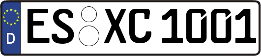 ES-XC1001