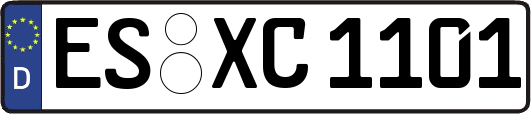 ES-XC1101