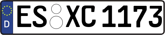 ES-XC1173