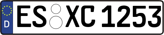 ES-XC1253