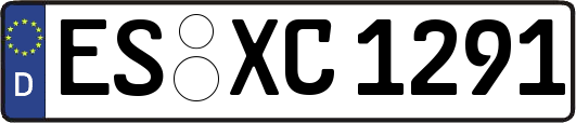 ES-XC1291