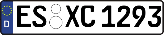ES-XC1293