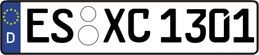 ES-XC1301