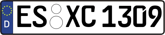 ES-XC1309