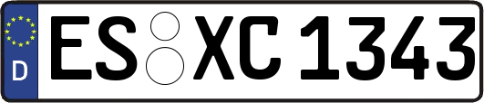 ES-XC1343