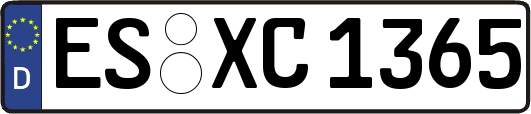 ES-XC1365