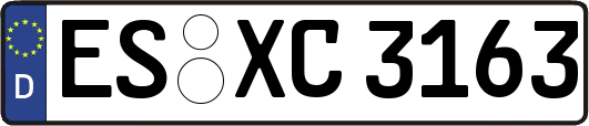 ES-XC3163