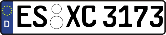 ES-XC3173