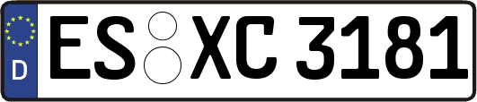 ES-XC3181