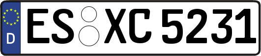 ES-XC5231