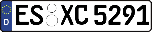 ES-XC5291