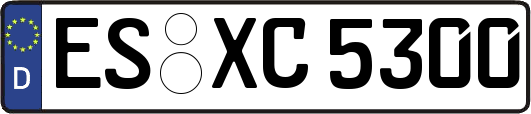 ES-XC5300
