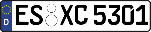 ES-XC5301