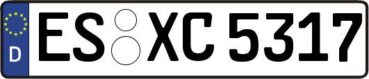 ES-XC5317