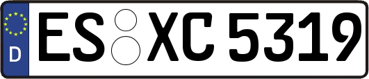 ES-XC5319