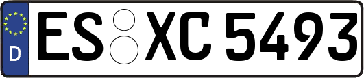 ES-XC5493