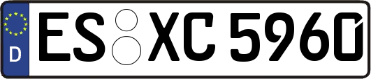 ES-XC5960