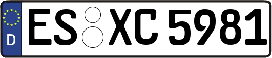 ES-XC5981