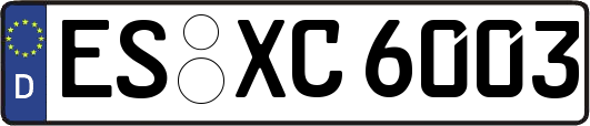 ES-XC6003