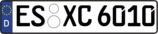 ES-XC6010