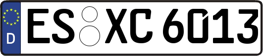 ES-XC6013