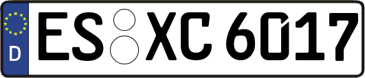 ES-XC6017