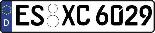 ES-XC6029