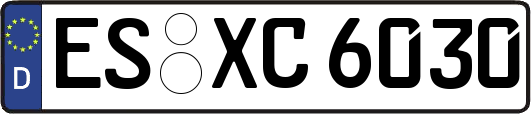ES-XC6030