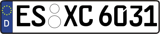 ES-XC6031