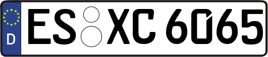 ES-XC6065