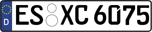 ES-XC6075