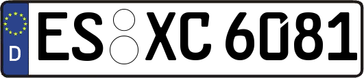 ES-XC6081