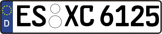 ES-XC6125