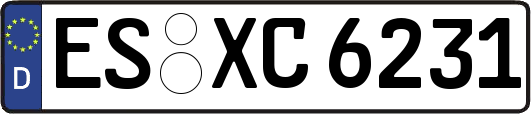 ES-XC6231