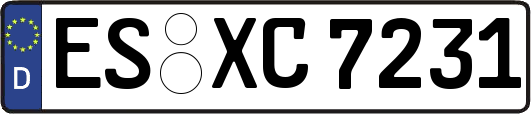 ES-XC7231